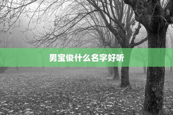 男宝俊什么名字好听