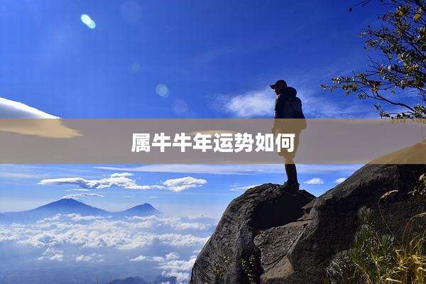 属牛牛年运势如何
