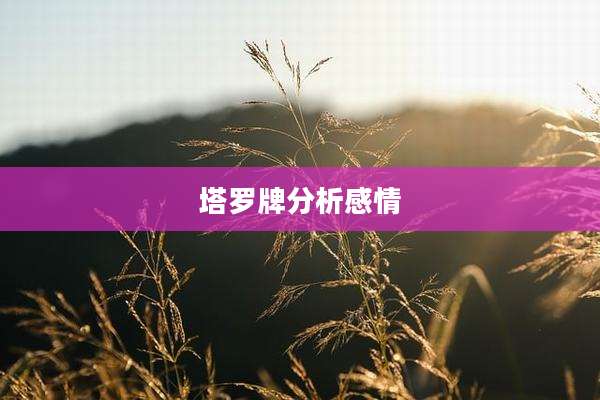 塔罗牌分析感情