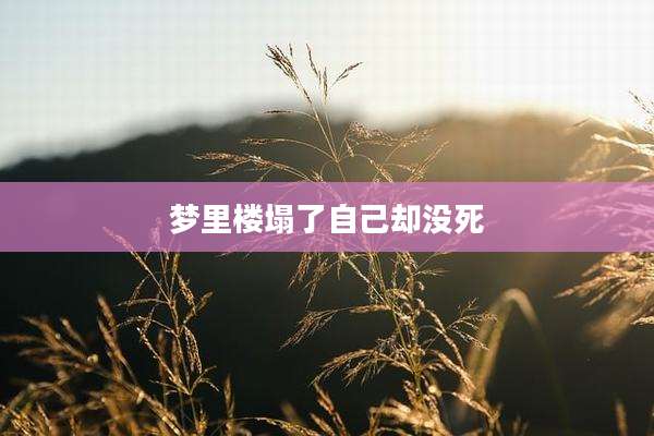梦里楼塌了自己却没死