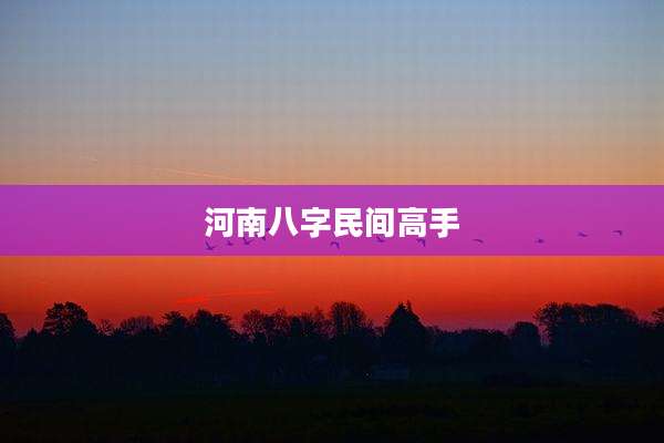 河南八字民间高手