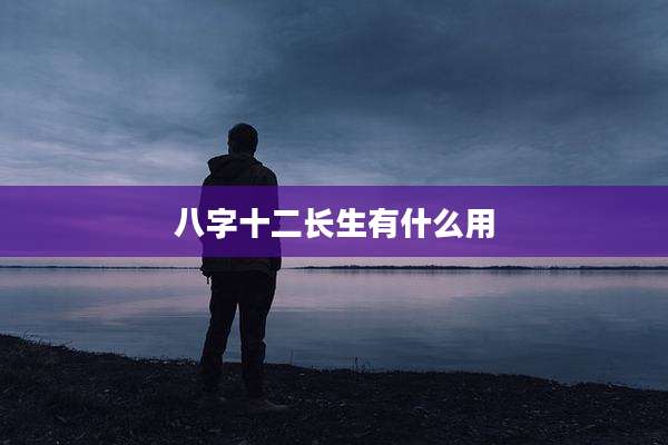 八字十二长生有什么用