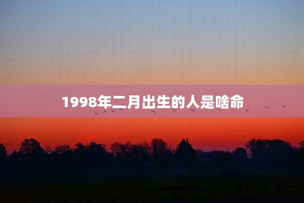 1998年二月出生的人是啥命
