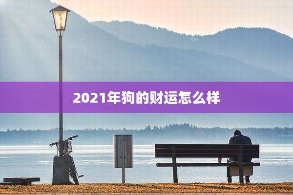 2021年狗的财运怎么样