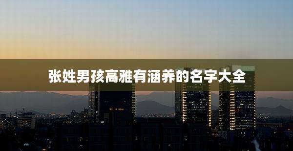 张姓男孩高雅有涵养的名字大全