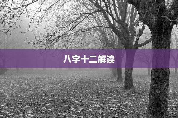八字十二解读