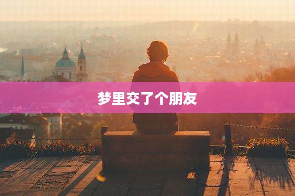 梦里交了个朋友