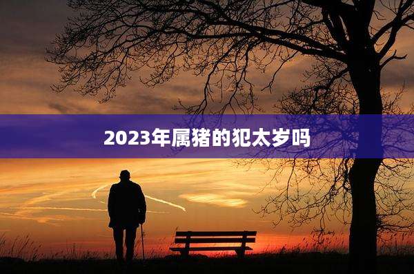 2023年属猪的犯太岁吗