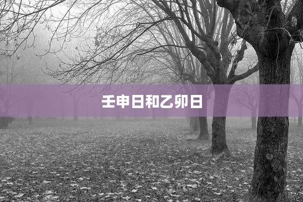 壬申日和乙卯日