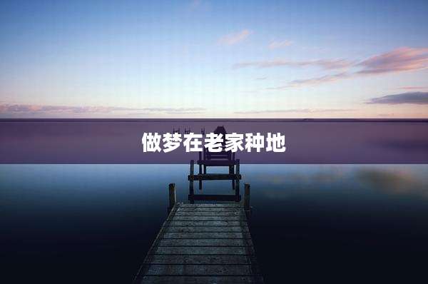 做梦在老家种地