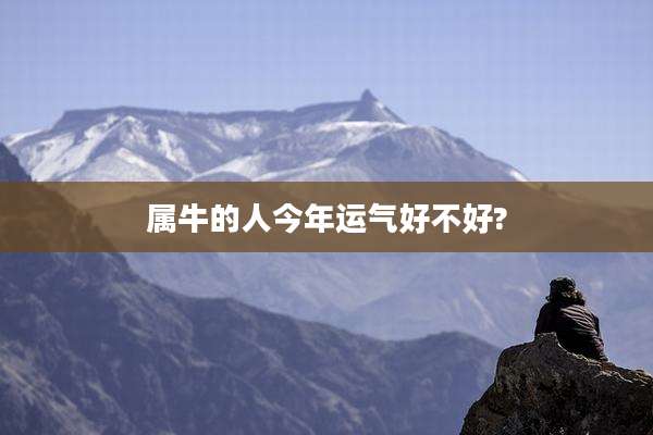 属牛的人今年运气好不好?