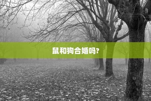 鼠和狗合婚吗?