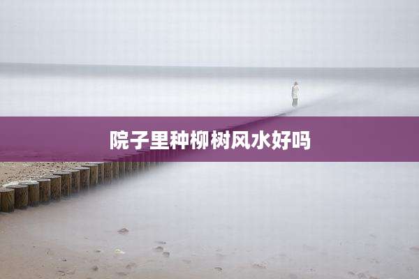 院子里种柳树风水好吗