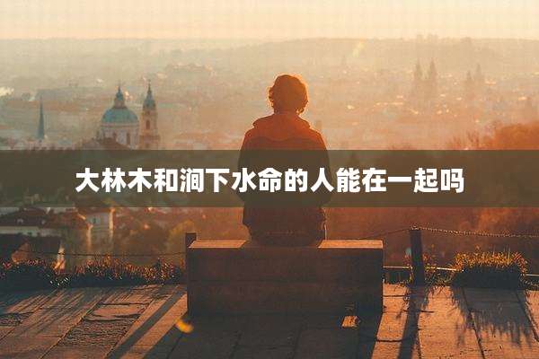 大林木和涧下水命的人能在一起吗