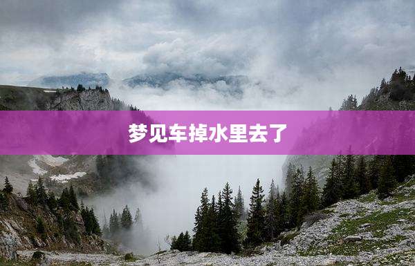 梦见车掉水里去了
