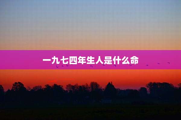 一九七四年生人是什么命