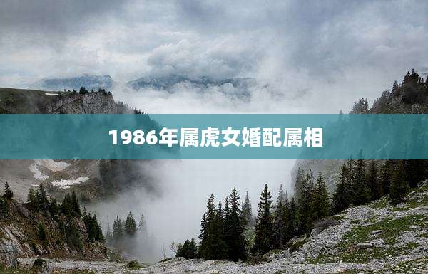 1986年属虎女婚配属相