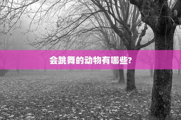 会跳舞的动物有哪些?