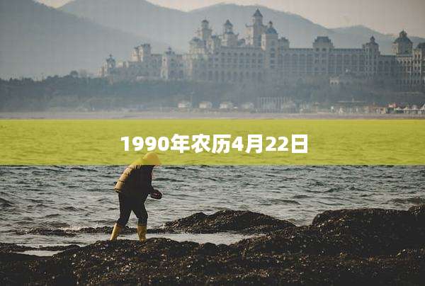 1990年农历4月22日