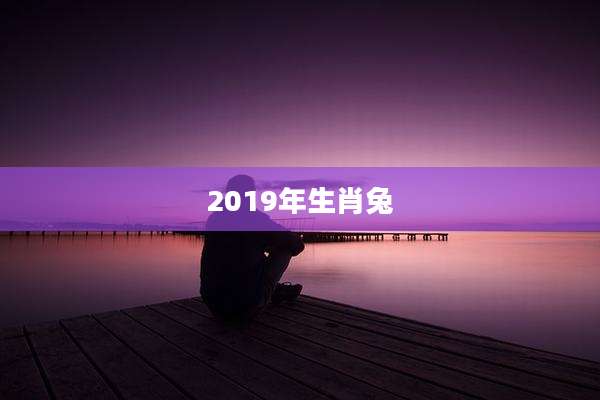 2019年生肖兔