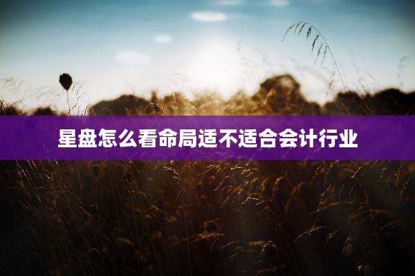 星盘怎么看命局适不适合会计行业