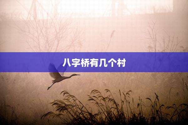 八字桥有几个村