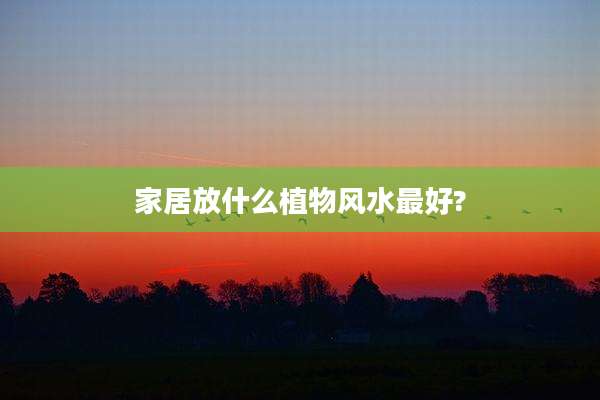 家居放什么植物风水最好?