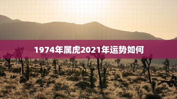 1974年属虎2021年运势如何