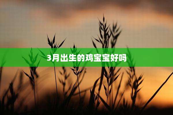 3月出生的鸡宝宝好吗