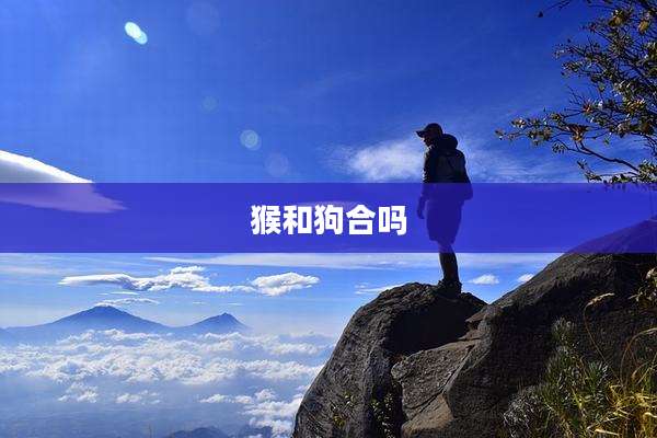 猴和狗合吗