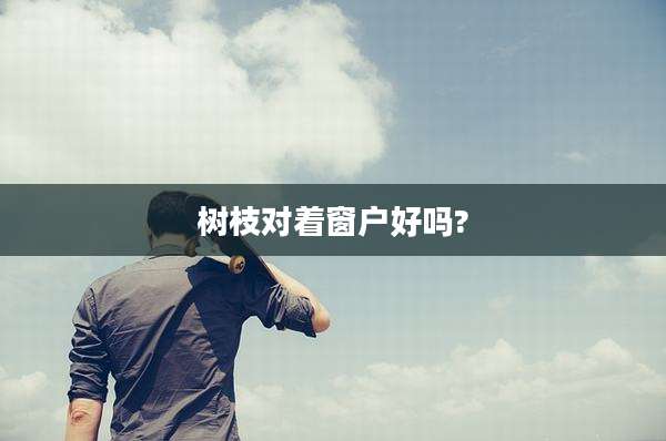 树枝对着窗户好吗?