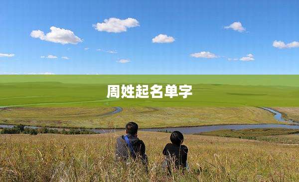 周姓起名单字
