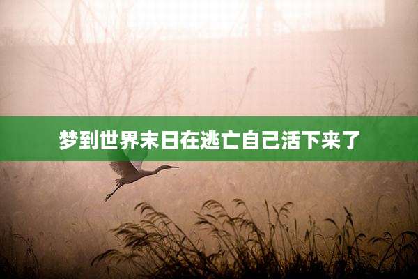 梦到世界末日在逃亡自己活下来了