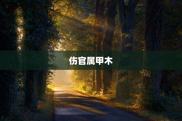 伤官属甲木