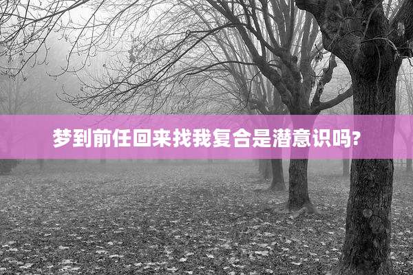 梦到前任回来找我复合是潜意识吗?