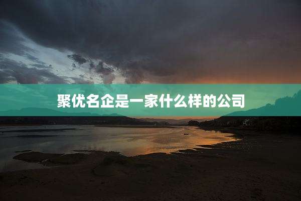 聚优名企是一家什么样的公司