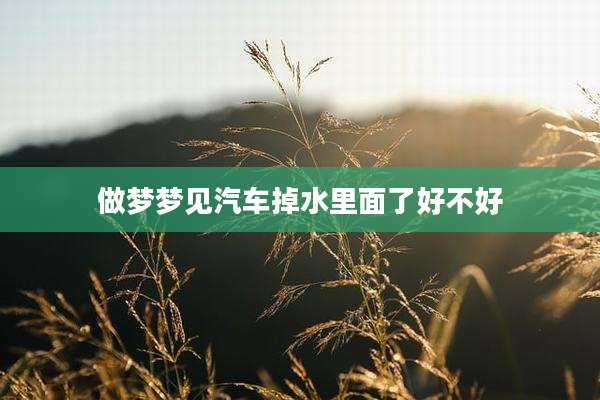 做梦梦见汽车掉水里面了好不好