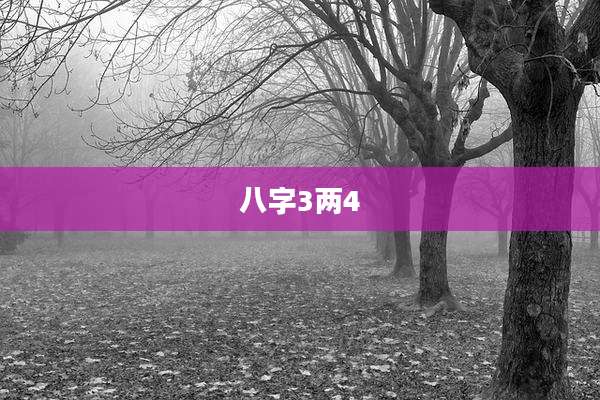 八字3两4