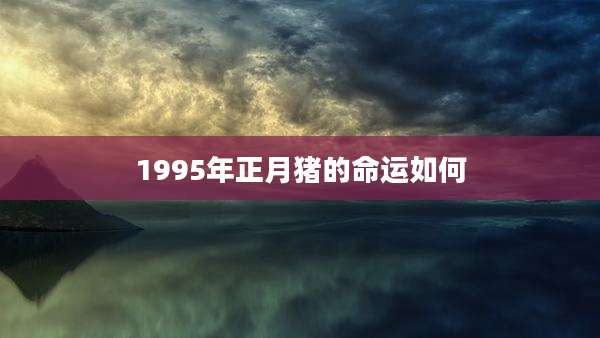 1995年正月猪的命运如何