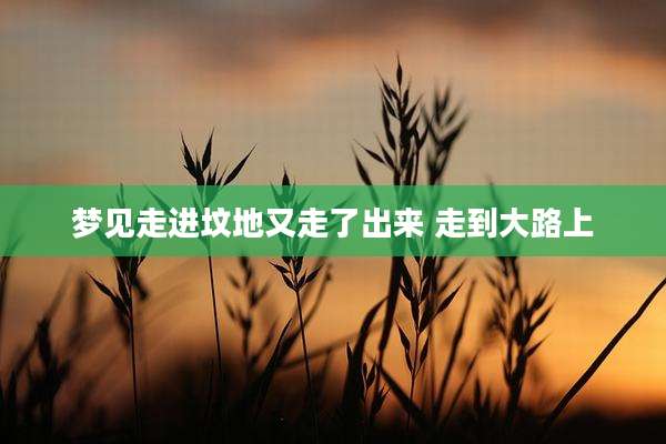 梦见走进坟地又走了出来 走到大路上