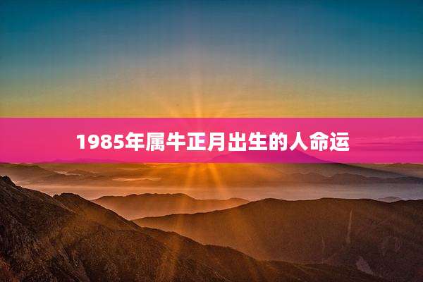 1985年属牛正月出生的人命运
