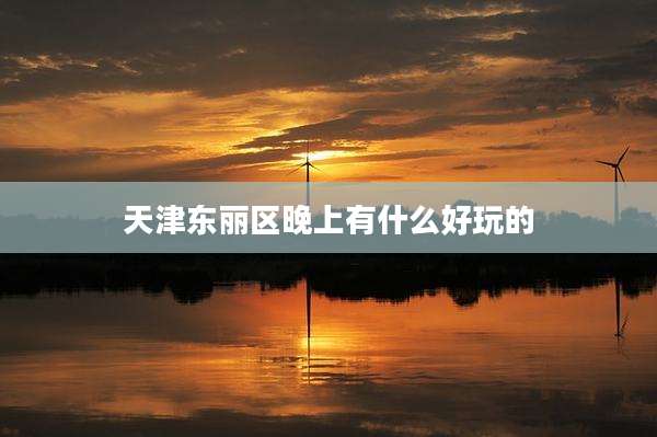 天津东丽区晚上有什么好玩的