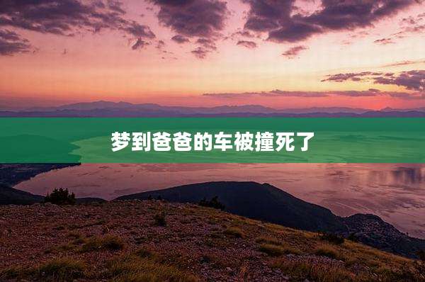 梦到爸爸的车被撞死了