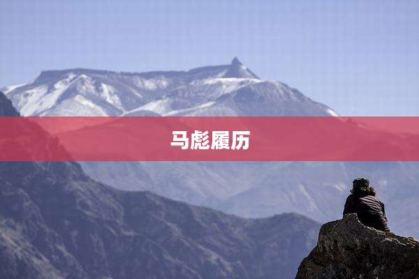 马彪履历