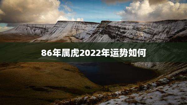 86年属虎2022年运势如何