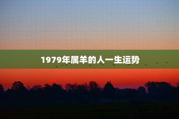 1979年属羊的人一生运势