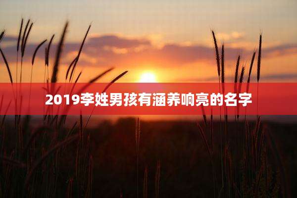 2019李姓男孩有涵养响亮的名字