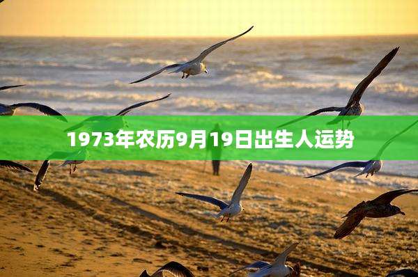 1973年农历9月19日出生人运势