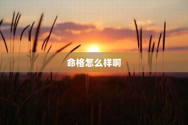 命格怎么样啊