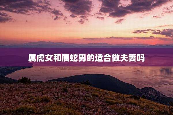 属虎女和属蛇男的适合做夫妻吗